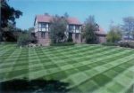 Weekly Lawn Mowing